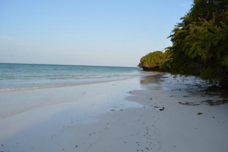 Qambani Zanzibar