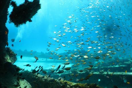 Fundu Lagoon, Pemba